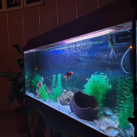 Hotel Oez Altinbasak