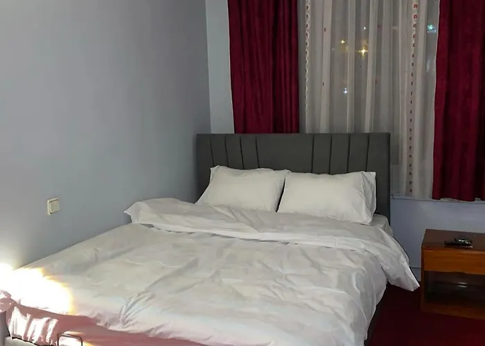 Oez Altinbasak Hotell *