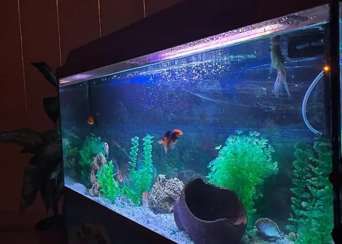 Hotell Oez Altinbasak