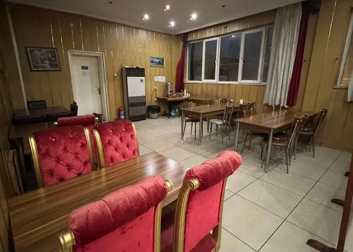 Hotel Oez Altinbasak *